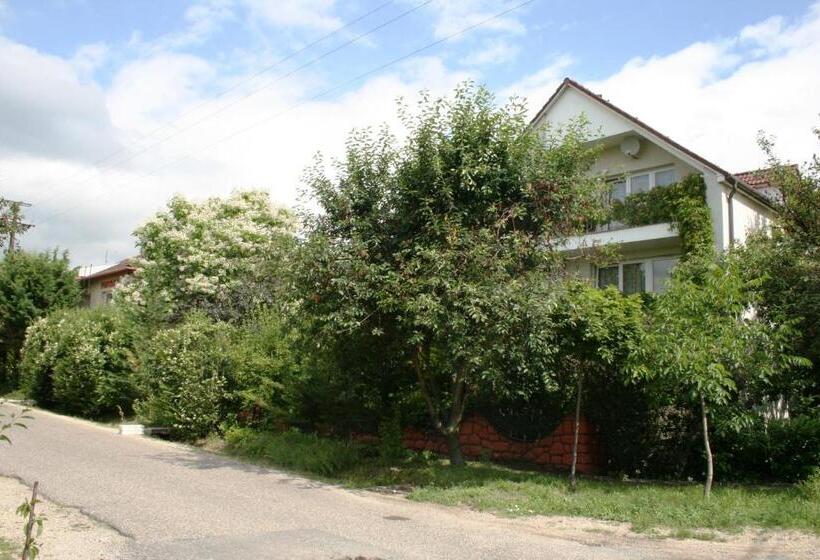 ペンション Fontana Vendégház