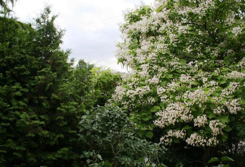 ペンション Fontana Vendégház