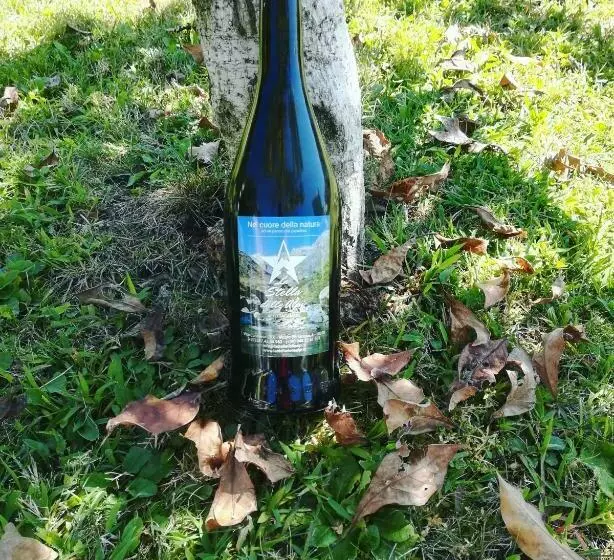 Majatalo La Stella Delle Alpi