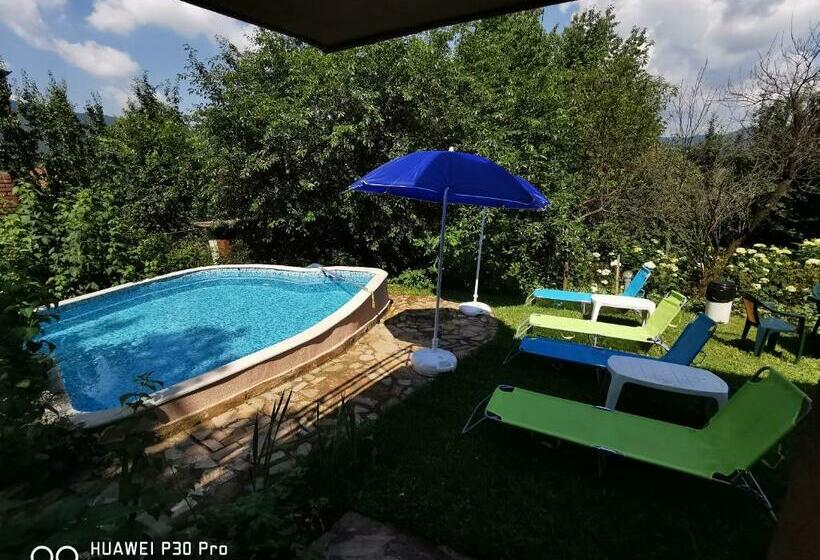 פנסיון Villa Aqua