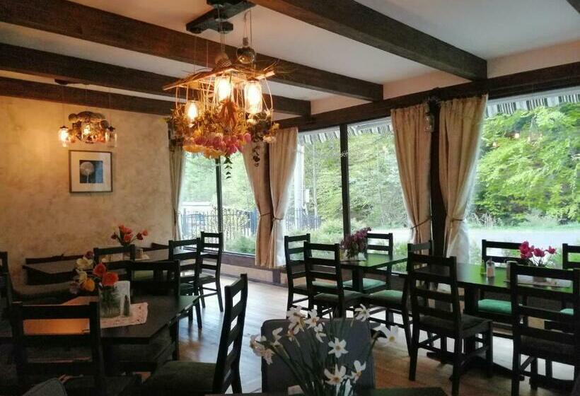 Pensiunea Bia Papadia