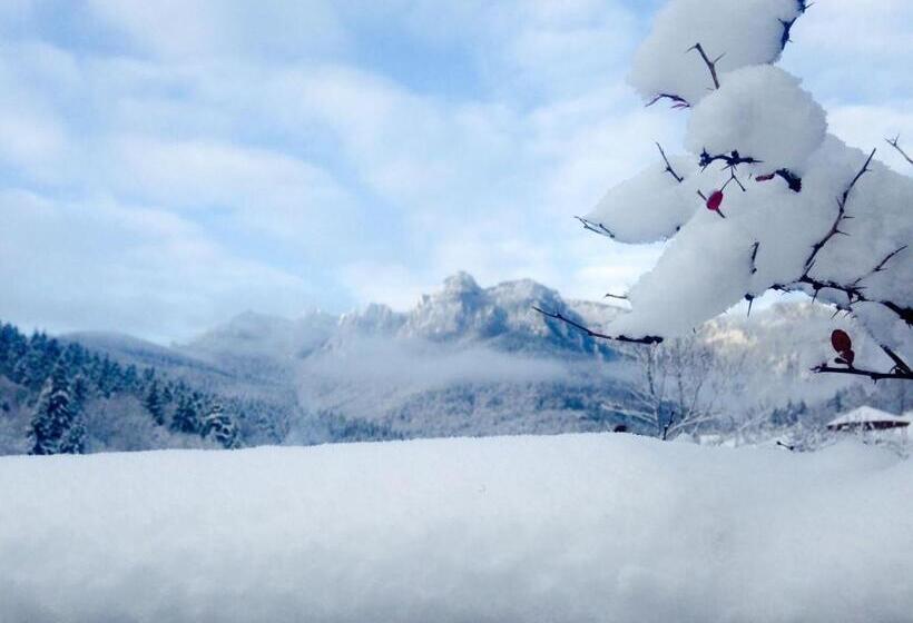 Pensiunea Bia Papadia