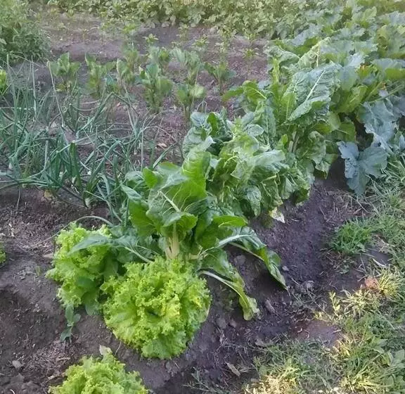 Albergue Turístico Via De La Plata