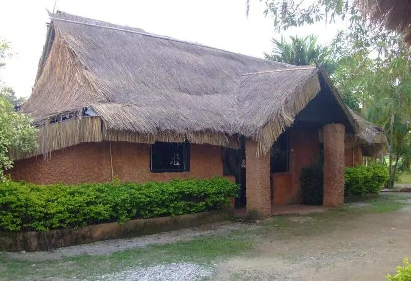 Ban Din Resort Chiang Rai