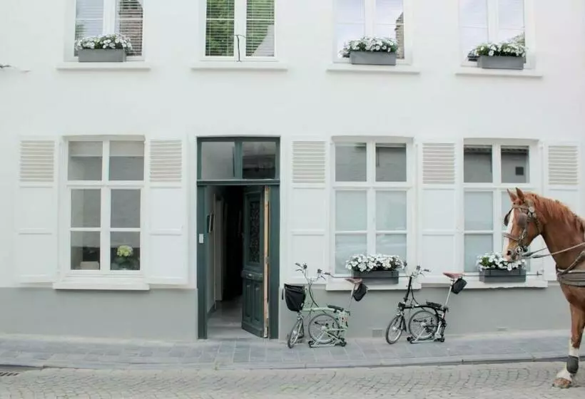 B&b Alphabet   Luxury Guesthouse And Art Gallery