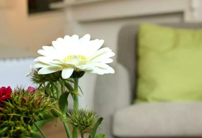 B&b Alphabet   Luxury Guesthouse And Art Gallery