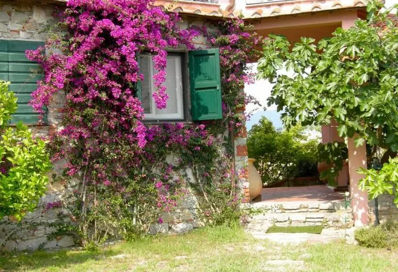 B&b Le Palme