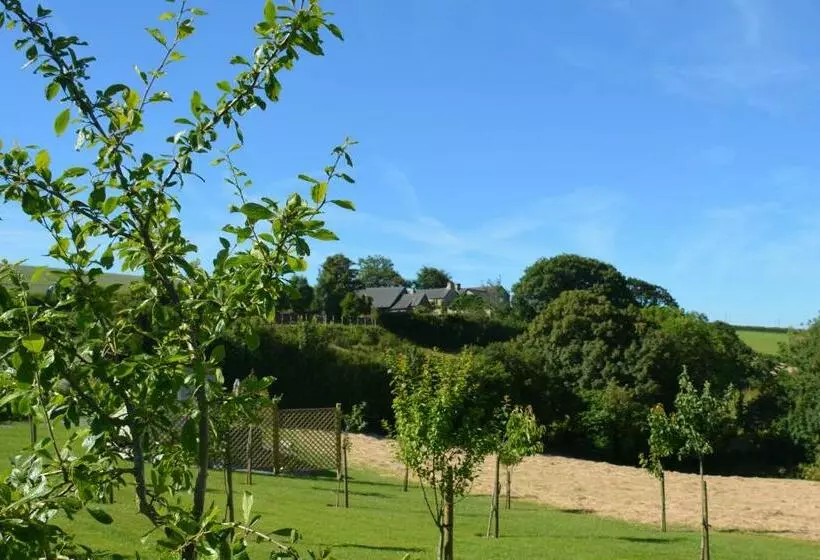 Aamiaismajoitus (B&B) Kerswell Farmhouse