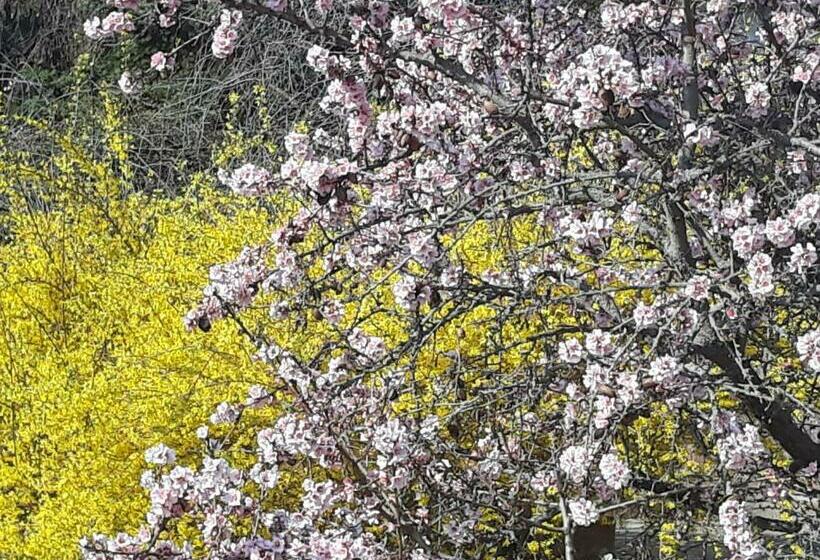 Pensionat Aqua Apartman