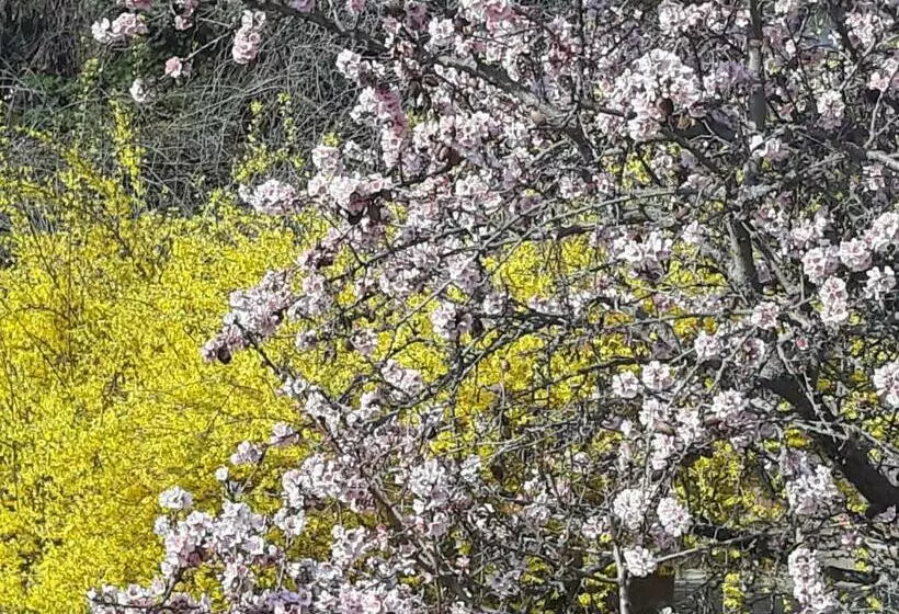 Majatalo Aqua Apartman