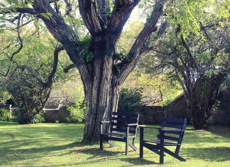 پانسیون Casa Do Populo