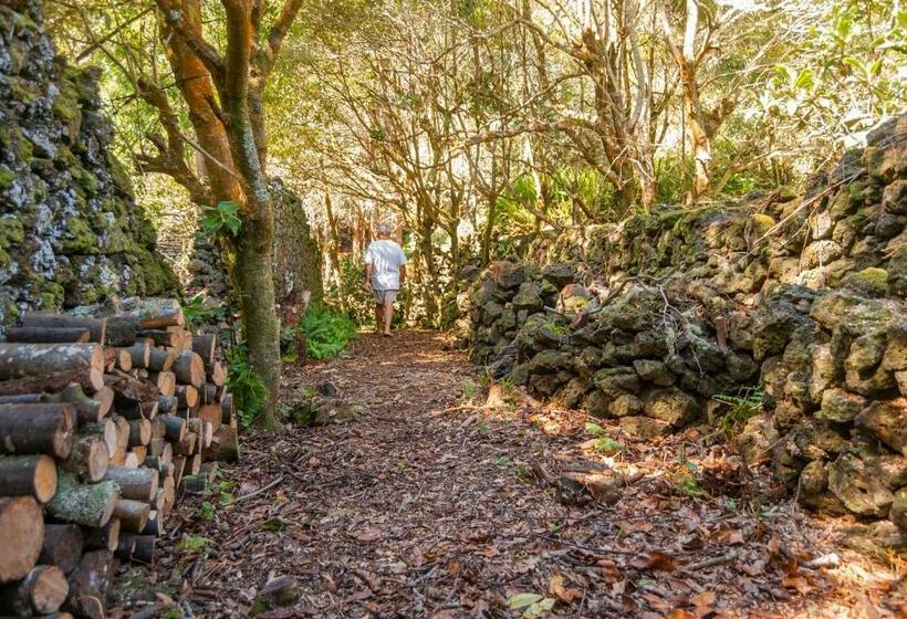 پانسیون Casa Do Populo
