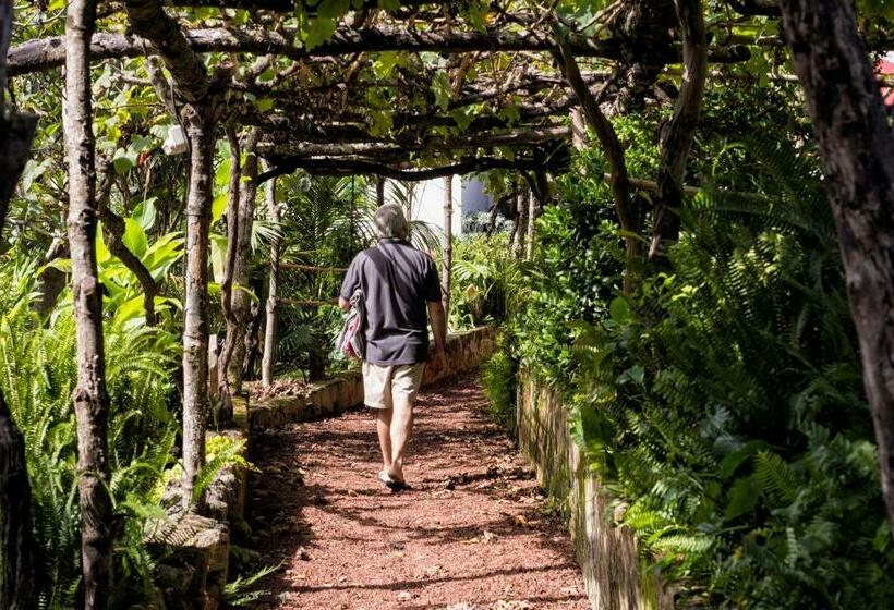 پانسیون Casa Do Populo