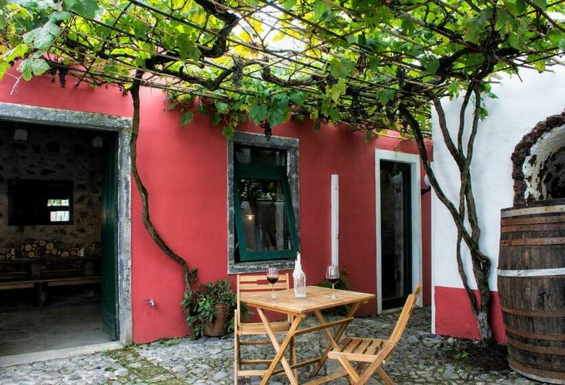 پانسیون Casa Do Populo