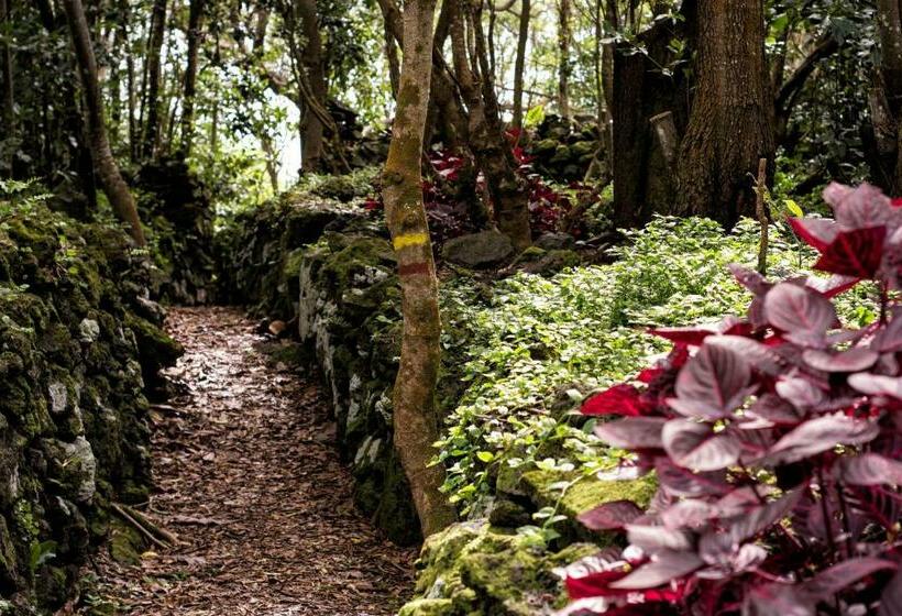 پانسیون Casa Do Populo