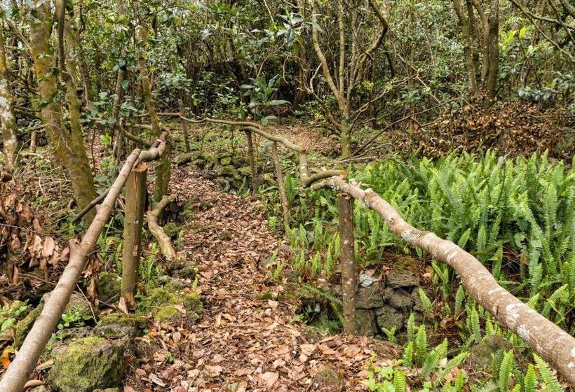 پانسیون Casa Do Populo