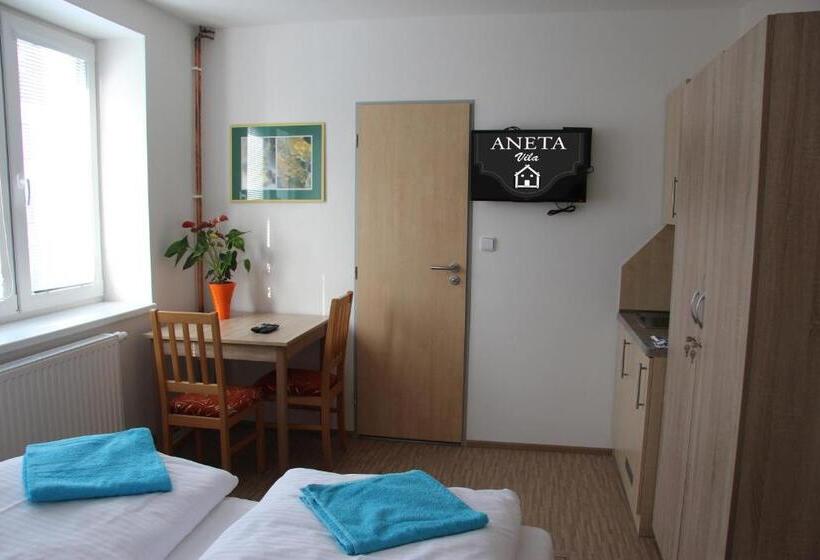 פנסיון Vila Aneta