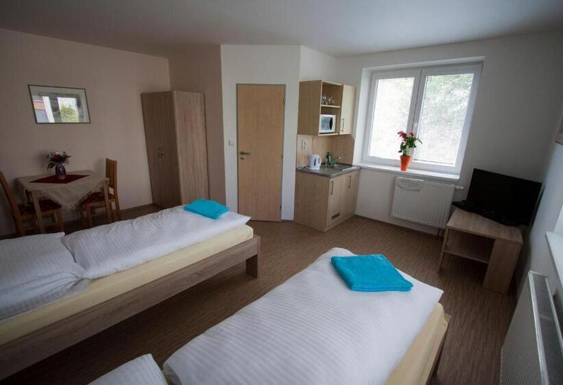 פנסיון Vila Aneta