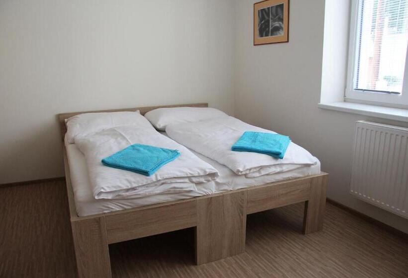 פנסיון Vila Aneta