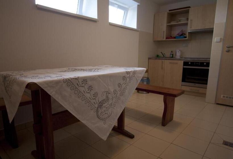 פנסיון Vila Aneta