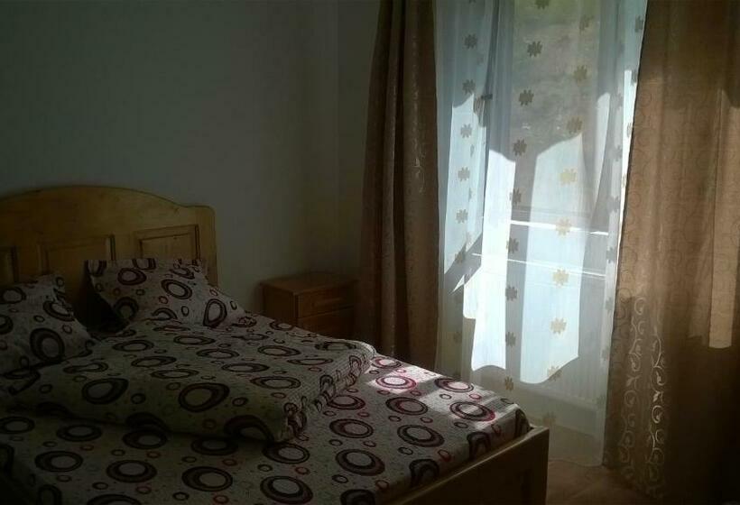 ペンション Vila Bucovina