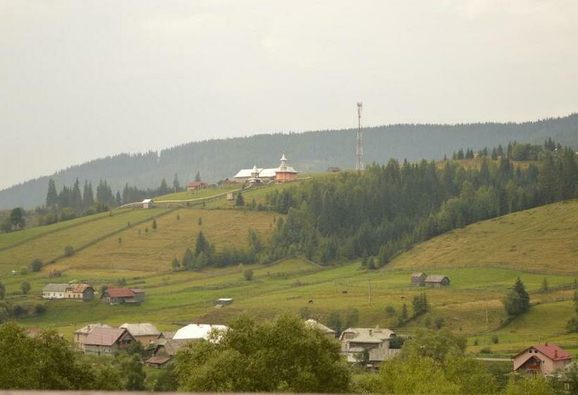 ペンション Vila Bucovina