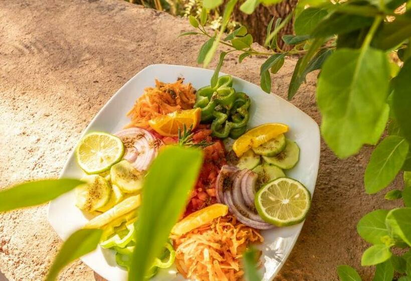 Vandrarhem Riad Kasbah Des Roches