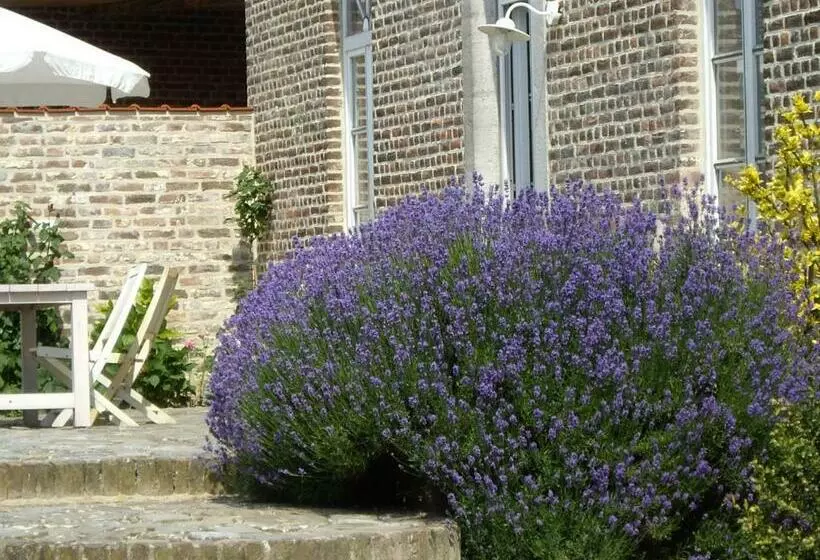 B&b Schoon Goed