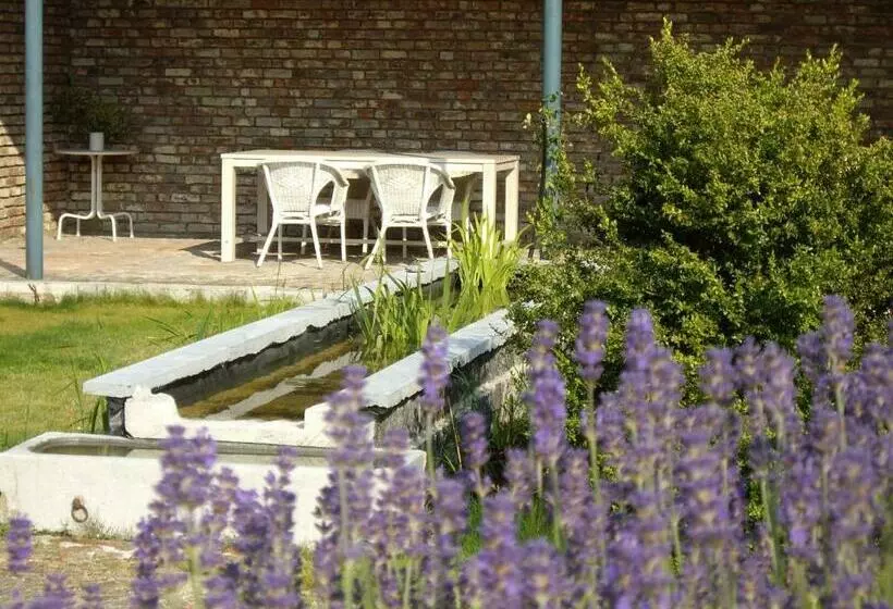 B&b Schoon Goed