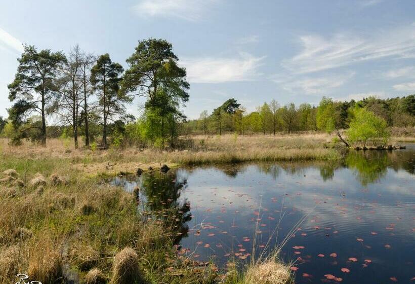 민박 De Roermondse Beleving