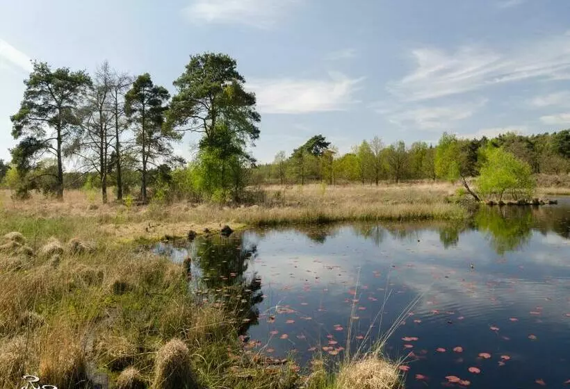 Aamiaismajoitus (B&B) De Roermondse Beleving