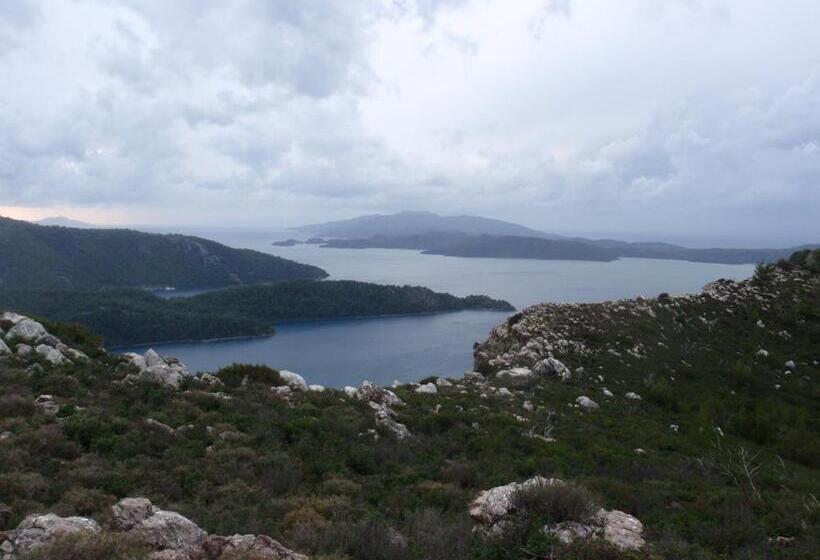 Bed and Breakfast Sakin Vadi Winehouse