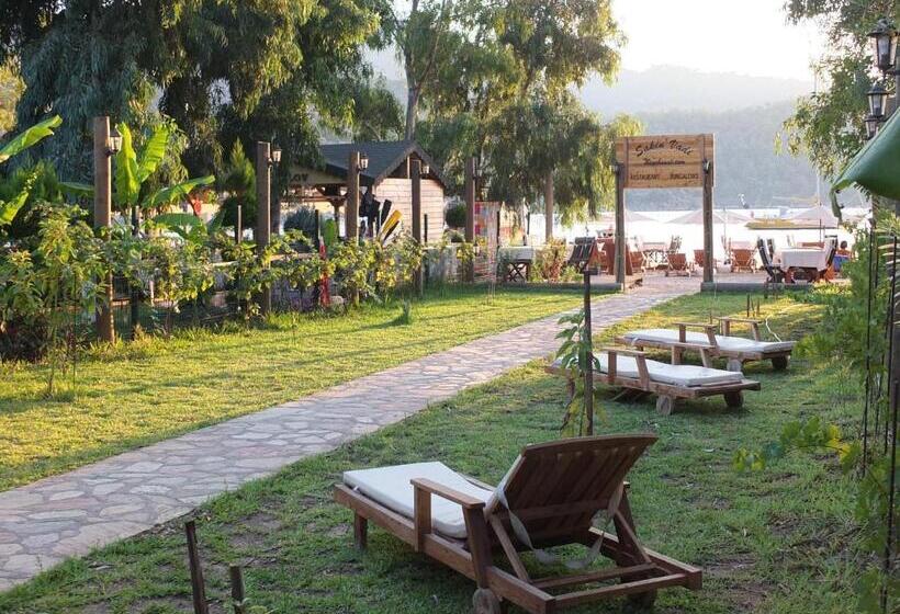 Bed and Breakfast Sakin Vadi Winehouse