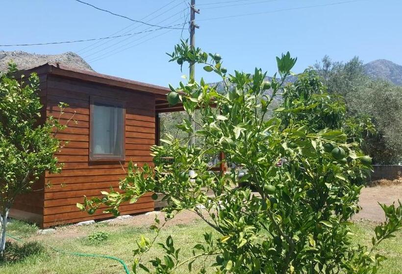 Bed and Breakfast Sakin Vadi Winehouse