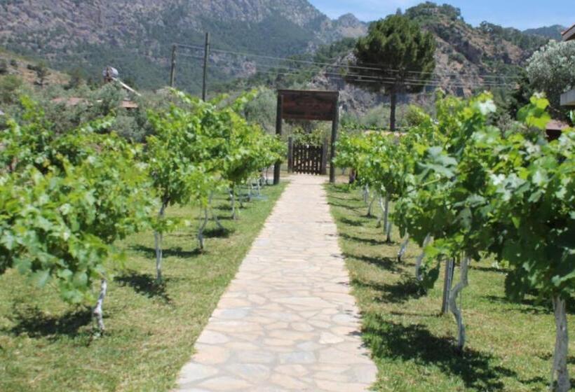 Bed and Breakfast Sakin Vadi Winehouse