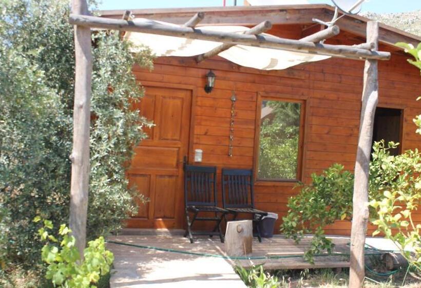 Bed and Breakfast Sakin Vadi Winehouse