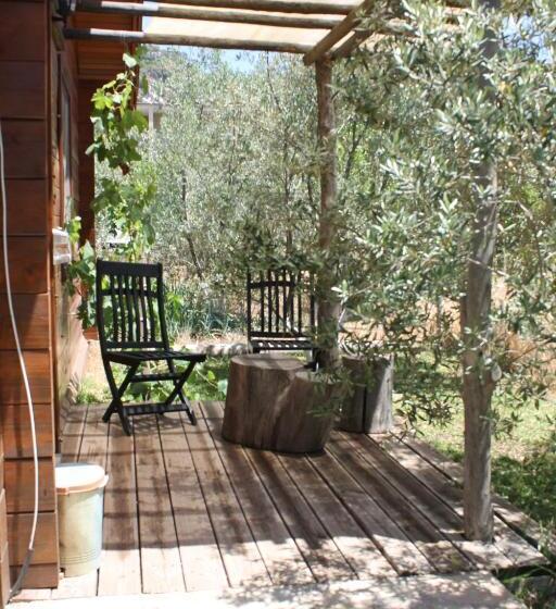 Bed and Breakfast Sakin Vadi Winehouse