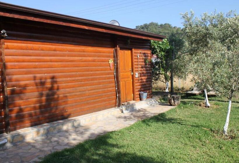 Bed and Breakfast Sakin Vadi Winehouse