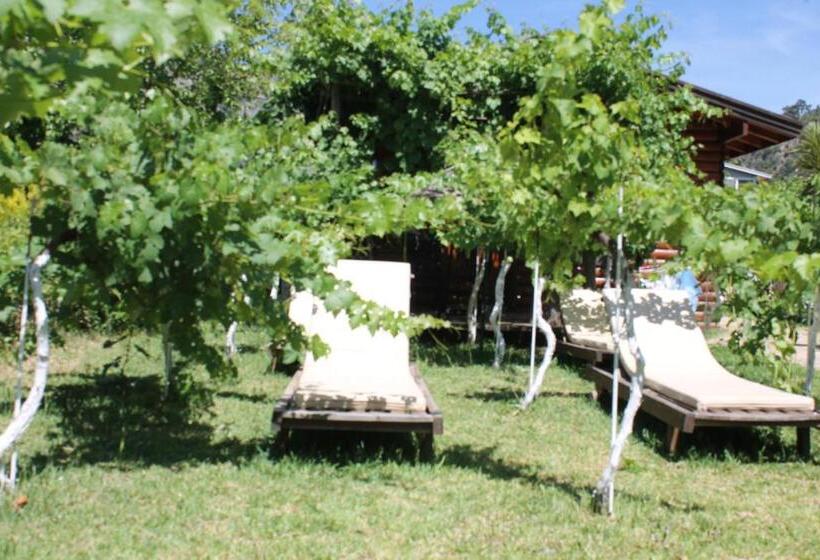 Bed and Breakfast Sakin Vadi Winehouse