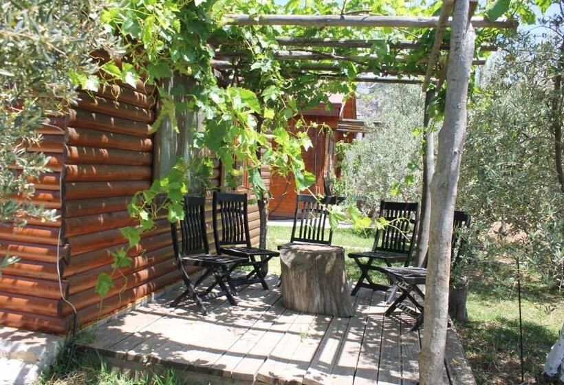 Bed and Breakfast Sakin Vadi Winehouse