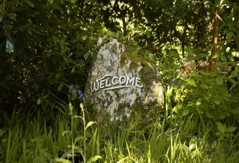 Nocleg ze śniadaniem Mossie S