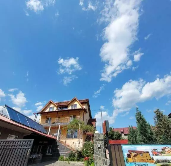 Pensiunea Patricia