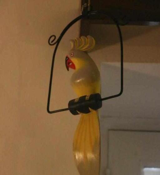 تختخواب و صبحانه Costa Norte Guesthouse