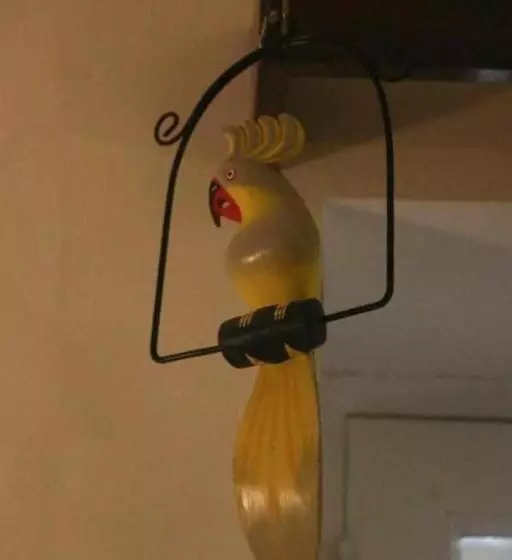 Aamiaismajoitus (B&B) Costa Norte Guesthouse