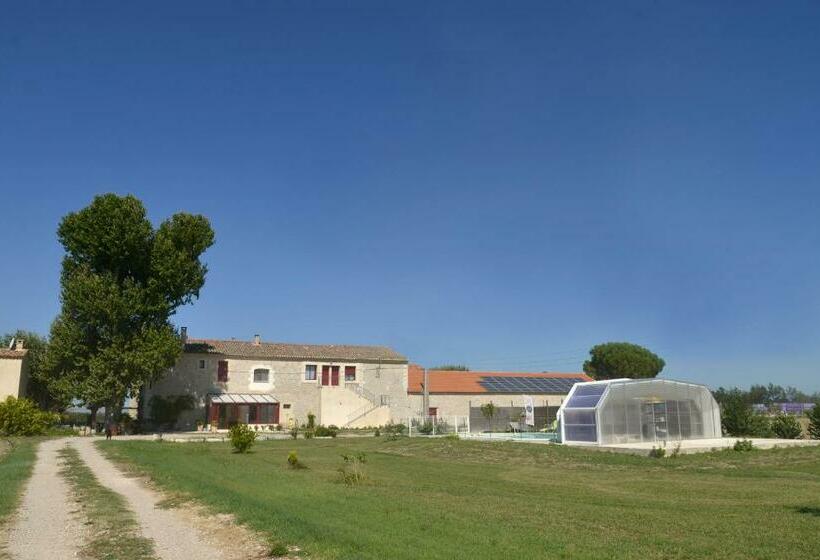 ベッドアンドブレックファースト Les Chambres De Montplaisir