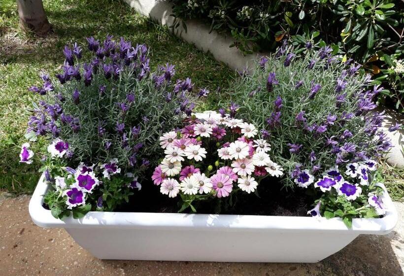 Bed and Breakfast Mare Nostrum Casa Vacanza