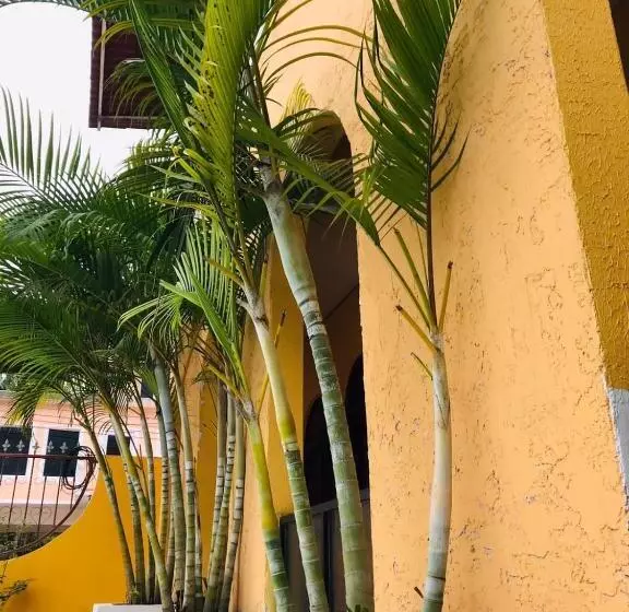 Hotelli Campo Real Plus Tamasopo