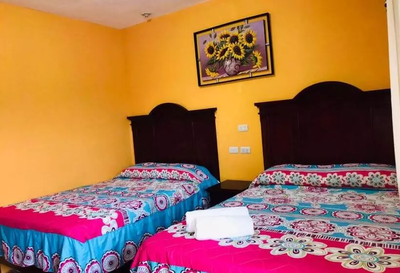 Hotelli Campo Real Plus Tamasopo