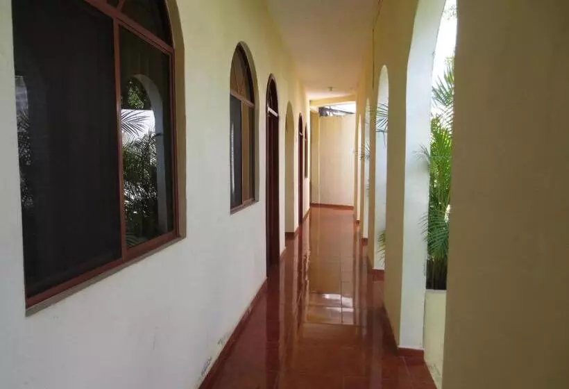 Hotelli Campo Real Plus Tamasopo