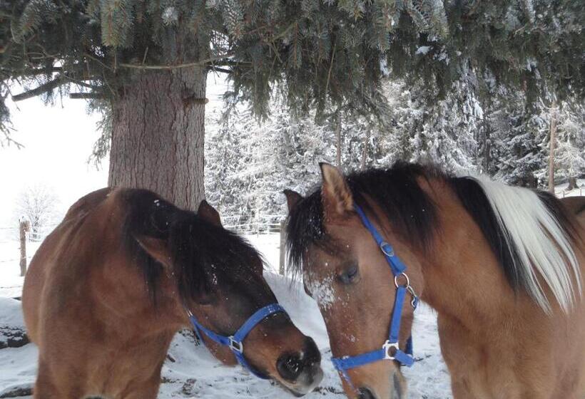 Отель Kirchenbichlerhof